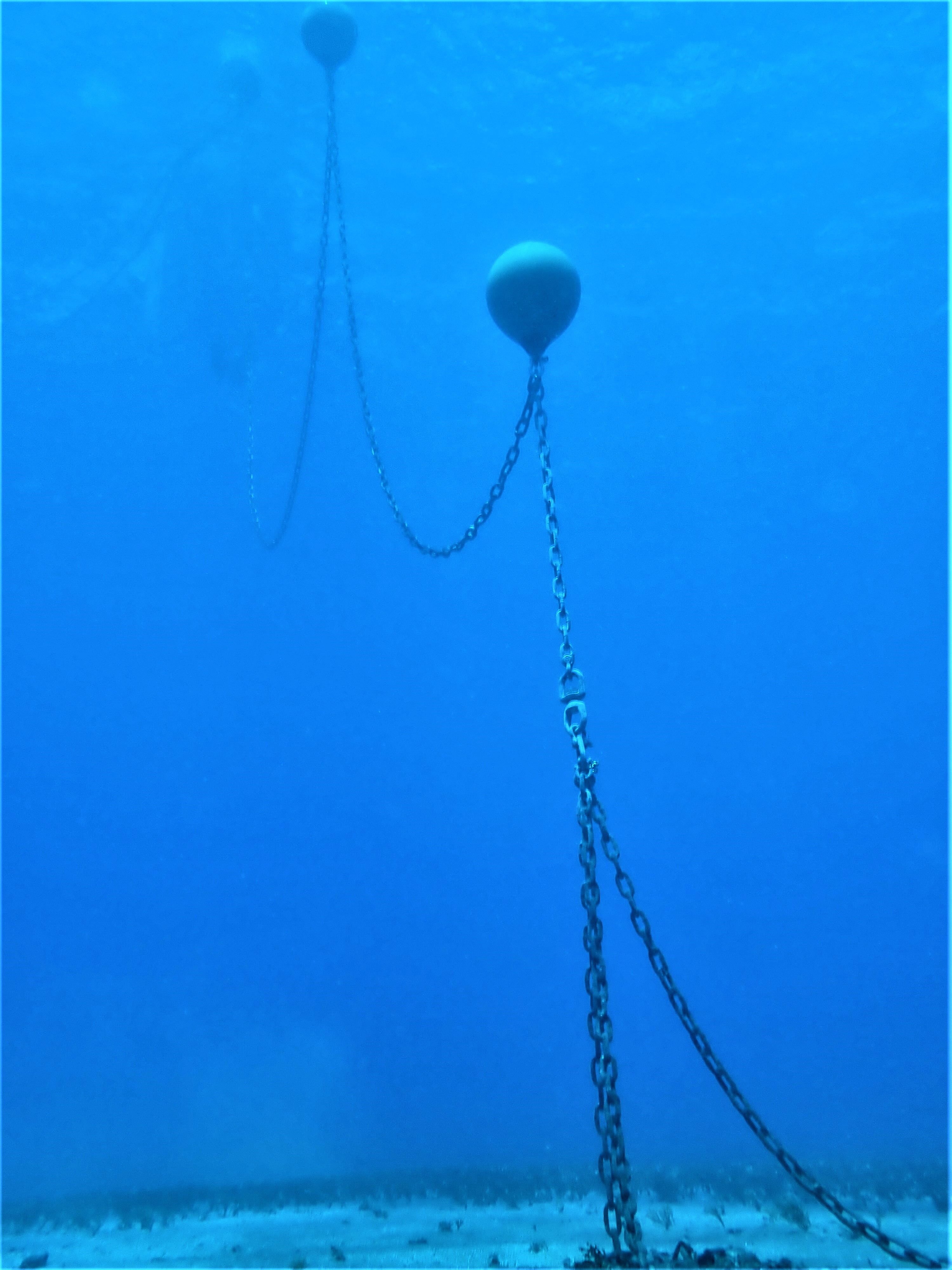 Mooring System with Manta to Up Chain to Surface