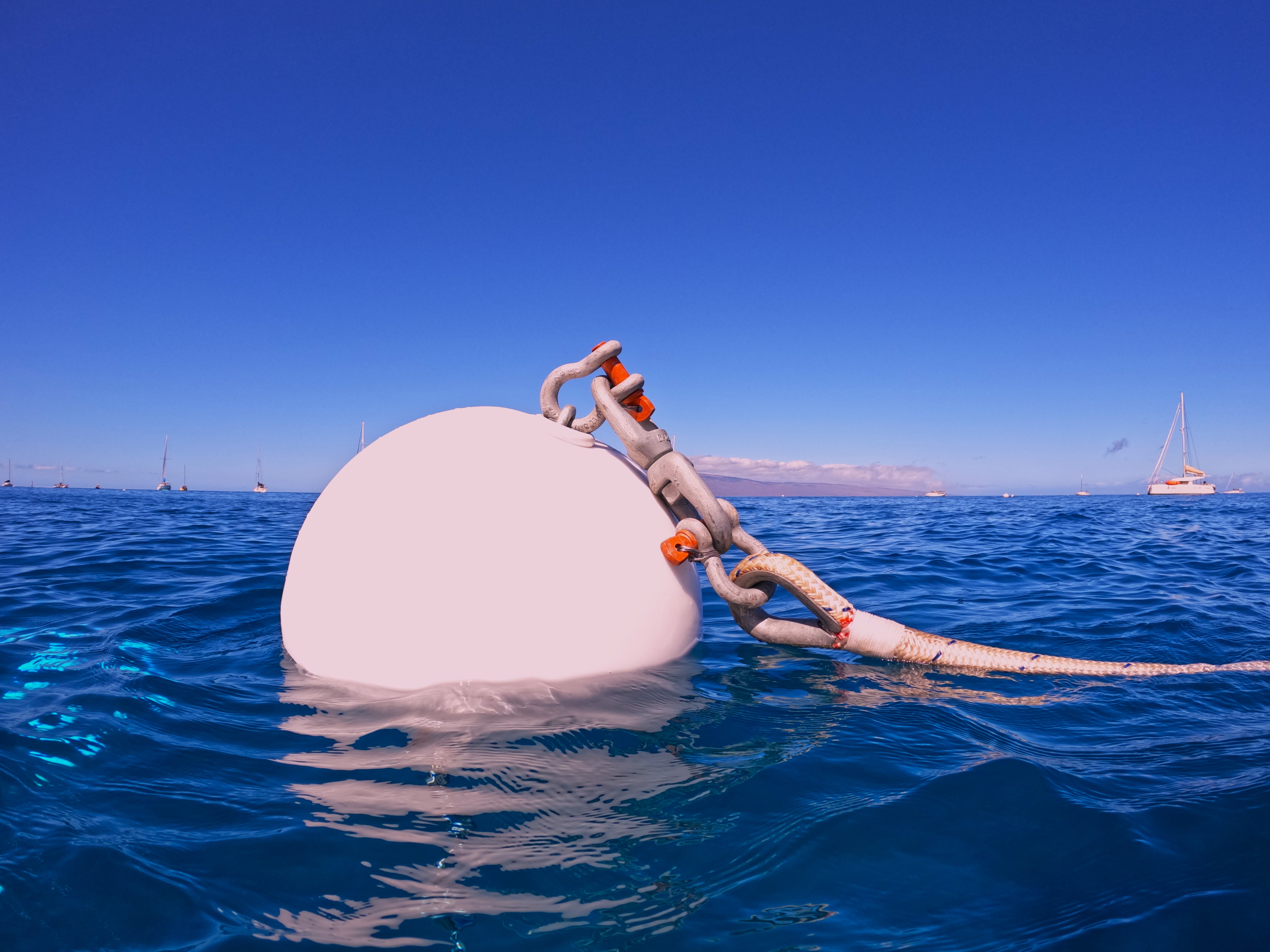 Adventuress ~ Mala Roadstead