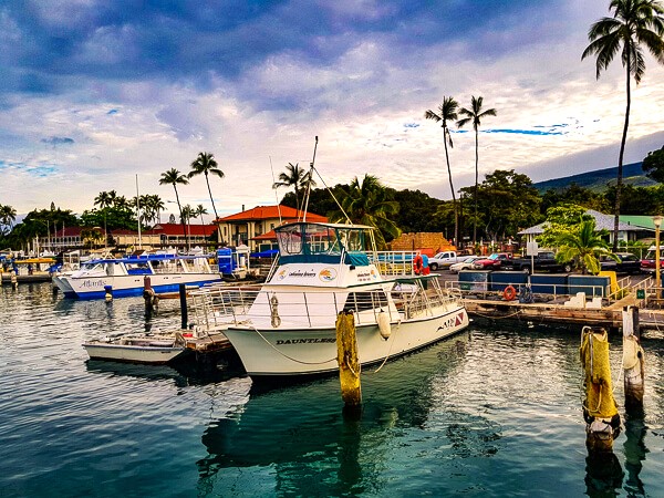 Lahaina Divers ~ Lahaina Harbor