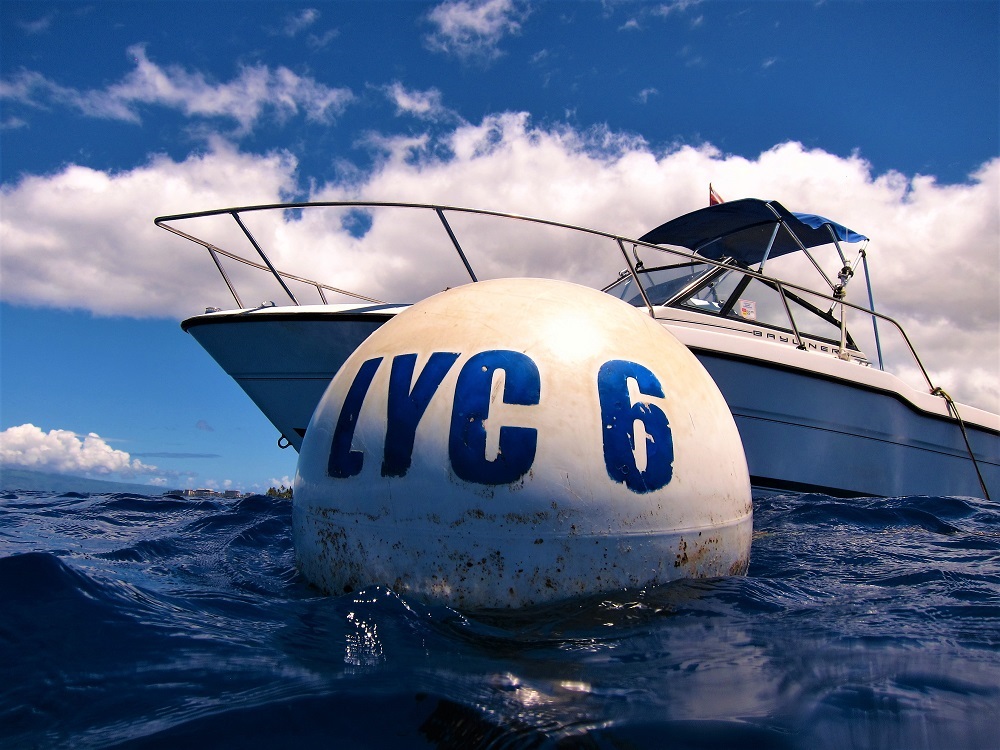 Lahaina Yacht Club ~ Lahaina Roadstead